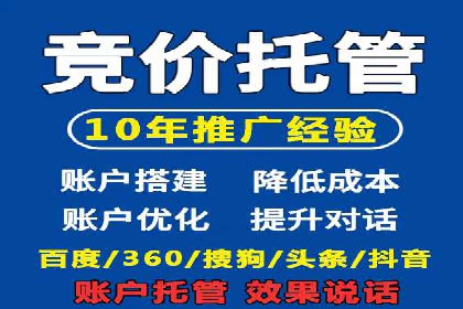 案例解析：揭秘高效竞价推广技巧